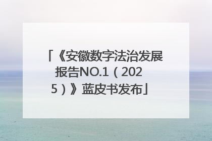 《安徽数字法治发展报告NO.1（2025）》蓝皮书发布