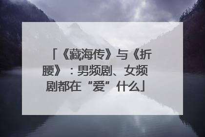 《藏海传》与《折腰》：男频剧、女频剧都在“爱”什么