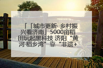 「城市更新· 乡村振兴看济南」5000亩稻田玩起黑科技 济阳“黄河·稻乡湾”靠“非遗+露营”火出圈