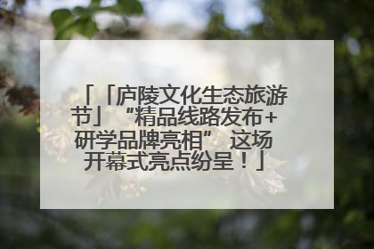 「庐陵文化生态旅游节」“精品线路发布+研学品牌亮相” 这场开幕式亮点纷呈！