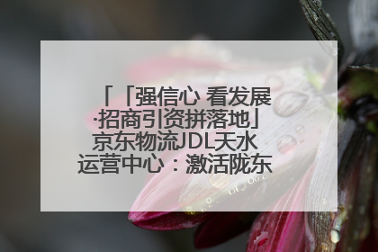 「强信心 看发展·招商引资拼落地」京东物流JDL天水运营中心：激活陇东南区域经济新引擎