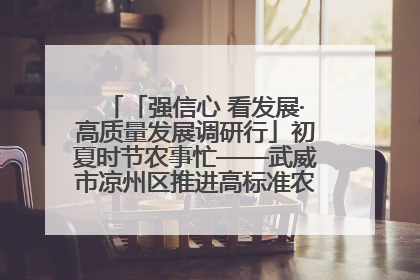 「强信心 看发展·高质量发展调研行」初夏时节农事忙——武威市凉州区推进高标准农田建设见闻