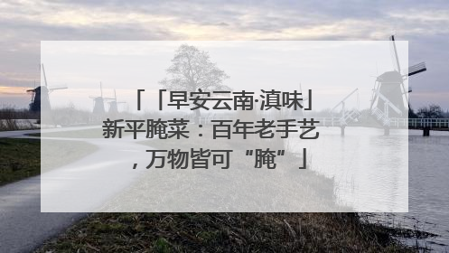 「早安云南·滇味」新平腌菜：百年老手艺，万物皆可“腌”