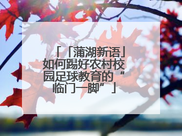 「蒲湖新语」如何踢好农村校园足球教育的“临门一脚”