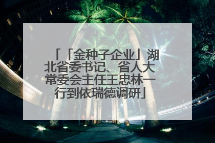 「金种子企业」湖北省委书记、省人大常委会主任王忠林一行到依瑞德调研