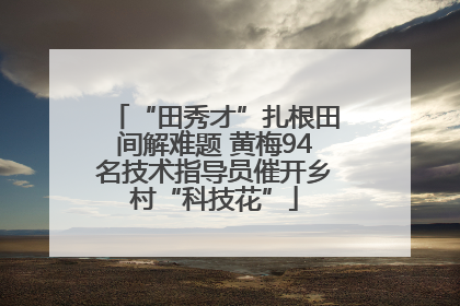 “田秀才”扎根田间解难题 黄梅94名技术指导员催开乡村“科技花”