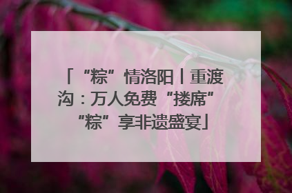 “粽”情洛阳丨重渡沟：万人免费“搂席” “粽”享非遗盛宴