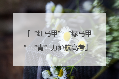“红马甲”“绿马甲”“青”力护航高考