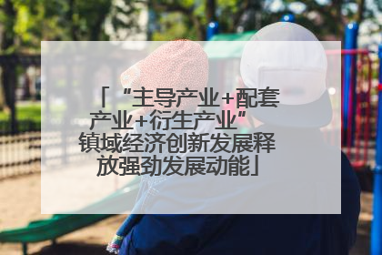 “主导产业+配套产业+衍生产业” 镇域经济创新发展释放强劲发展动能