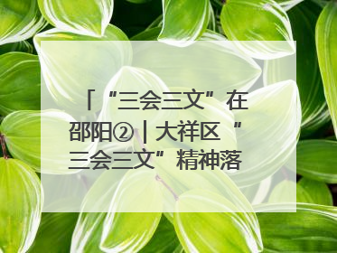 “三会三文”在邵阳②｜大祥区“三会三文”精神落地有声 以实干实绩助力区域高质量发展