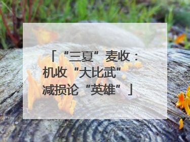 “三夏”麦收：机收“大比武” 减损论“英雄”
