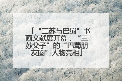 “三苏与巴蜀”书画文献展开幕，“三苏父子”的“巴蜀朋友圈”人物亮相
