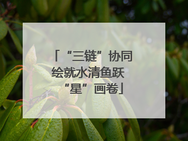 “三链”协同 绘就水清鱼跃“星”画卷