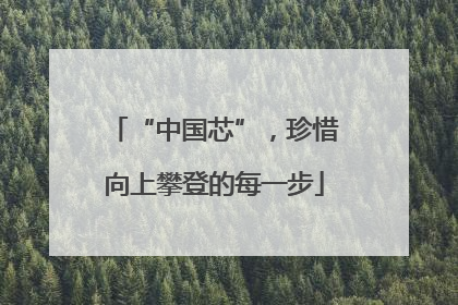 “中国芯”，珍惜向上攀登的每一步