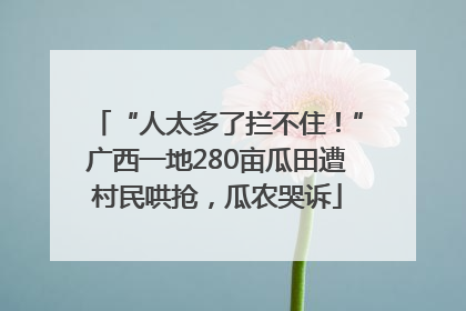 “人太多了拦不住！”广西一地280亩瓜田遭村民哄抢，瓜农哭诉