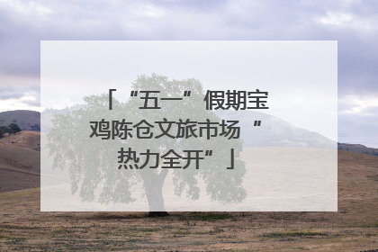 “五一”假期宝鸡陈仓文旅市场“热力全开”