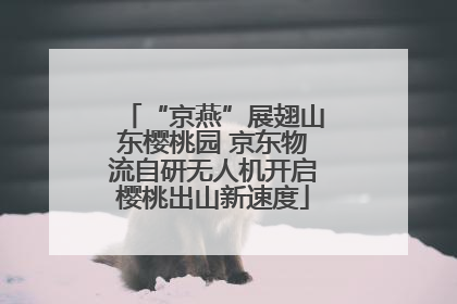 “京燕”展翅山东樱桃园 京东物流自研无人机开启樱桃出山新速度