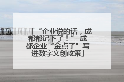 “企业说的话，成都都记下了！” 成都企业“金点子”写进数字文创政策