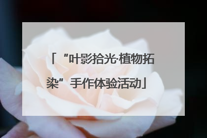“叶影拾光·植物拓染”手作体验活动