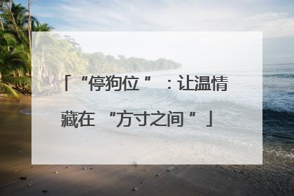 “停狗位 ”：让温情藏在 “方寸之间 ”