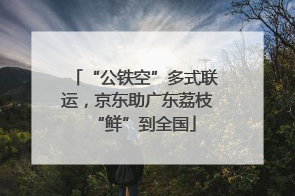 “公铁空”多式联运，京东助广东荔枝“鲜”到全国