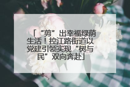 “剪”出幸福绿荫生活！控江路街道以党建引领实现“树与民”双向奔赴