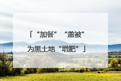 “加餐”“盖被” 为黑土地“增肥”