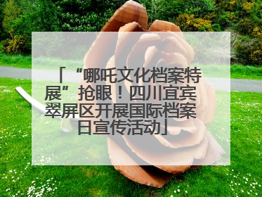 “哪吒文化档案特展”抢眼！四川宜宾翠屏区开展国际档案日宣传活动