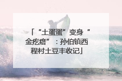 “土蛋蛋”变身“金疙瘩”：孙伯镇西程村土豆丰收记