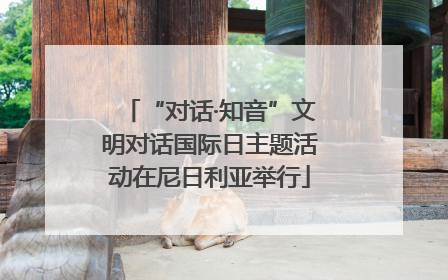 “对话·知音”文明对话国际日主题活动在尼日利亚举行