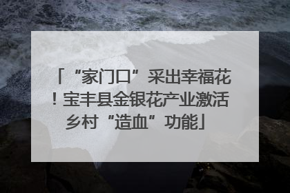 “家门口”采出幸福花！宝丰县金银花产业激活乡村“造血”功能