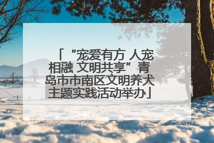 “宠爱有方 人宠相融 文明共享”青岛市市南区文明养犬主题实践活动举办