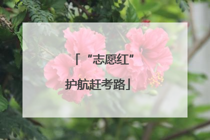 “志愿红”护航赶考路