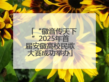“徽音传天下”2025年首届安徽高校民歌大赛成功举办