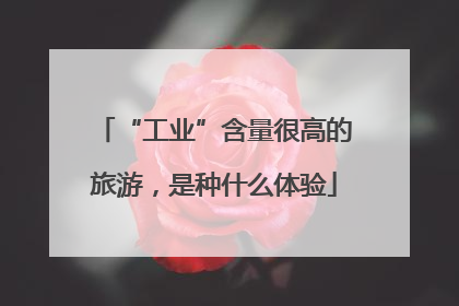 “工业”含量很高的旅游，是种什么体验