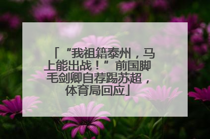 “我祖籍泰州，马上能出战！”前国脚毛剑卿自荐踢苏超，体育局回应