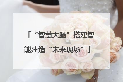 “智慧大脑”搭建智能建造“未来现场”