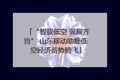 “智驭低空 翼展齐鲁” 山东移动助推低空经济蓄势腾飞
