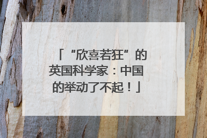 “欣喜若狂”的英国科学家：中国的举动了不起！