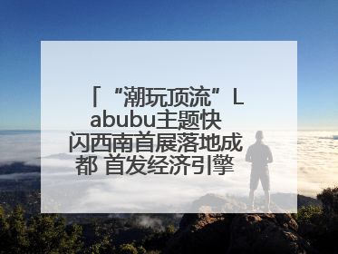 “潮玩顶流”Labubu主题快闪西南首展落地成都 首发经济引擎再添动能