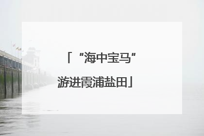 “海中宝马”游进霞浦盐田