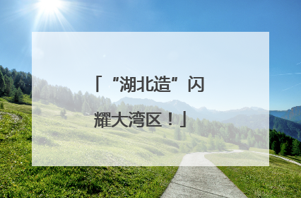 “湖北造”闪耀大湾区!