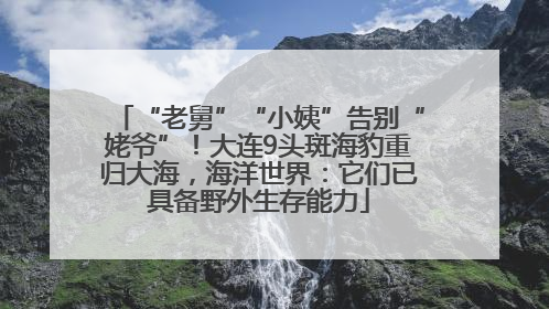 “老舅”“小姨”告别“姥爷”！大连9头斑海豹重归大海，海洋世界：它们已具备野外生存能力
