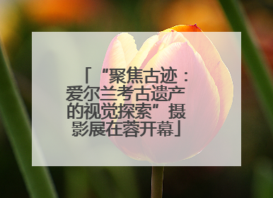 “聚焦古迹：爱尔兰考古遗产的视觉探索”摄影展在蓉开幕