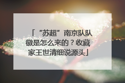 “苏超”南京队队徽是怎么来的？收藏家王世清细说源头