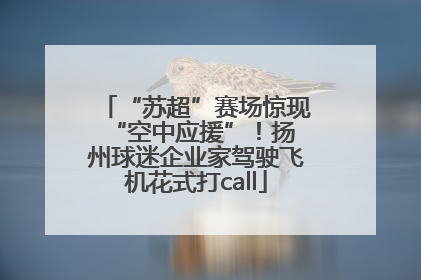 “苏超”赛场惊现 “空中应援”！扬州球迷企业家驾驶飞机花式打call