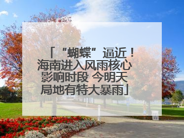 “蝴蝶”逼近！海南进入风雨核心影响时段 今明天局地有特大暴雨