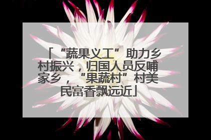“蔬果义工”助力乡村振兴，归国人员反哺家乡，“果蔬村”村美民富香飘远近
