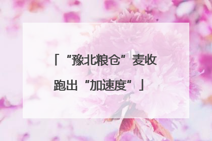 “豫北粮仓”麦收跑出“加速度”
