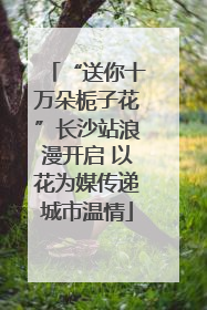 “送你十万朵栀子花”长沙站浪漫开启 以花为媒传递城市温情